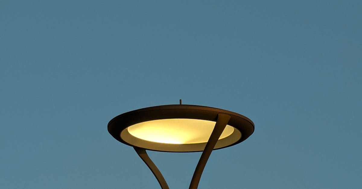 Customising Your Regular Domestic Cleaning Service to Fit Your Needs