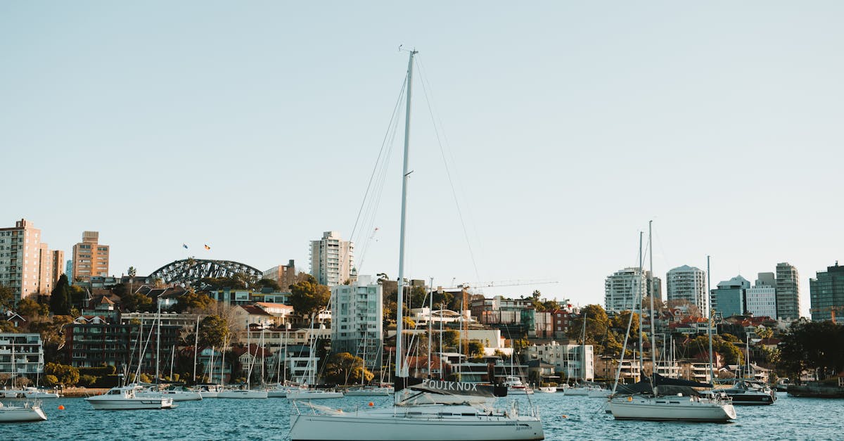 Eco-Friendly Approaches to Regular Domestic Cleaning in Sydney