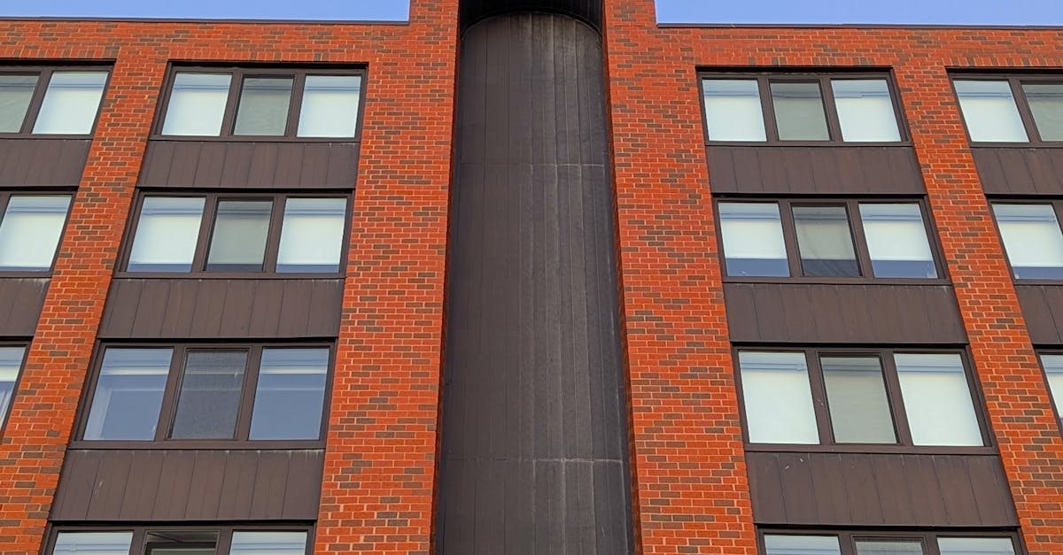 Homemade Citrus-Based Cleaners for a Fresh Home