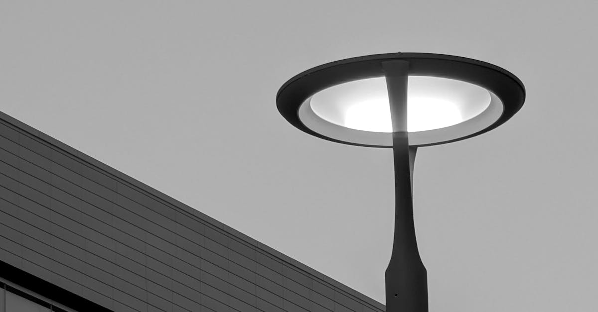 Personal Accounts: What Sets Sydney's Cleaning Services Apart