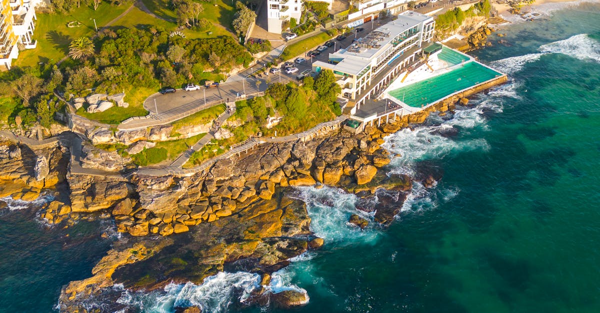 Premium vs Standard Cleaning Services: A Pricing Analysis