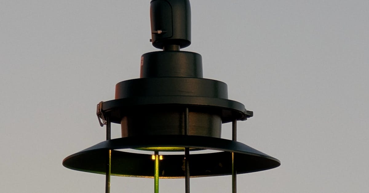 The Best Times to Schedule Professional Cleanings in Sydney