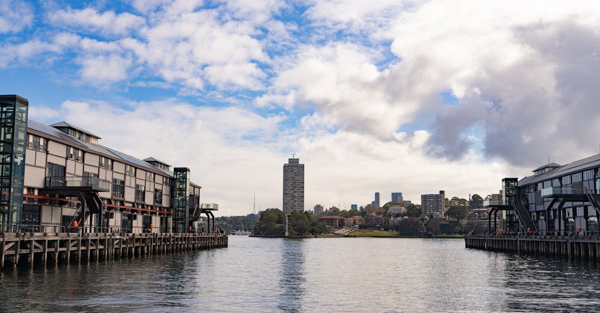 The Impact of Professional Cleaners: Feedback from Sydney Households