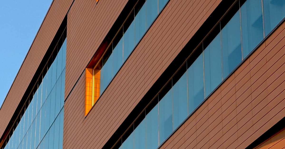 The Role of Eco-Friendly Products in Reducing Allergies and Respiratory Issues