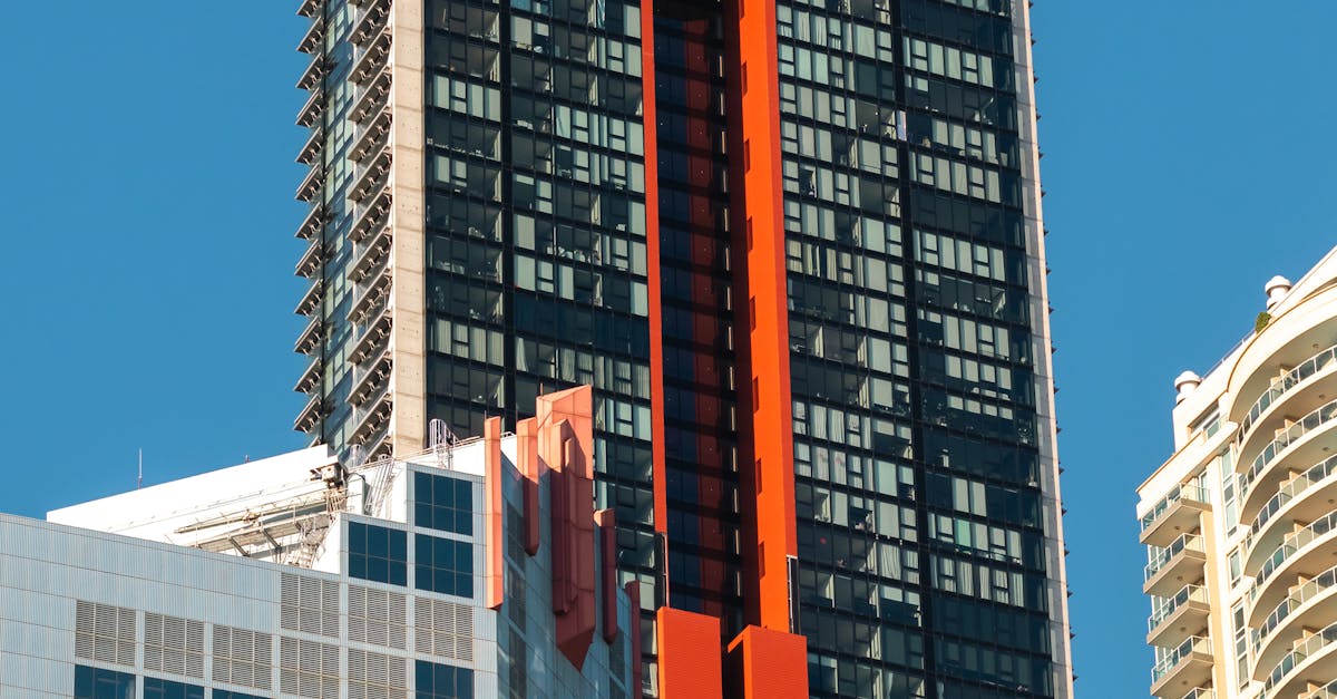 Understanding the Carpets in Your Home: Materials and Care