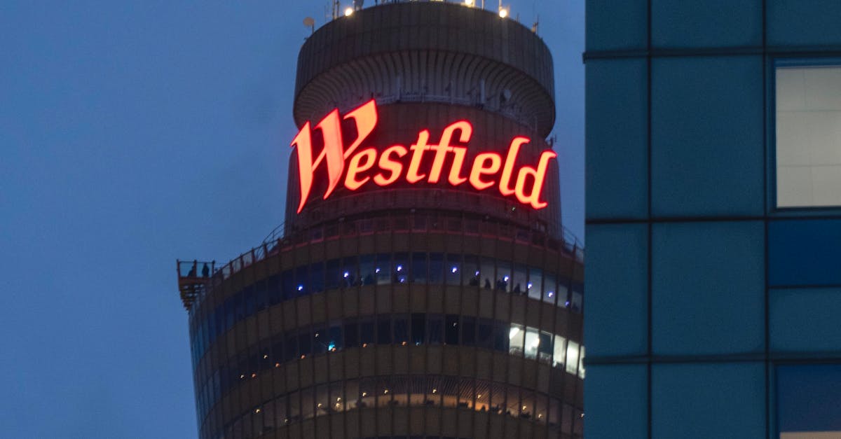 Understanding the Importance of Specialised Cleaning for Unique Home Needs