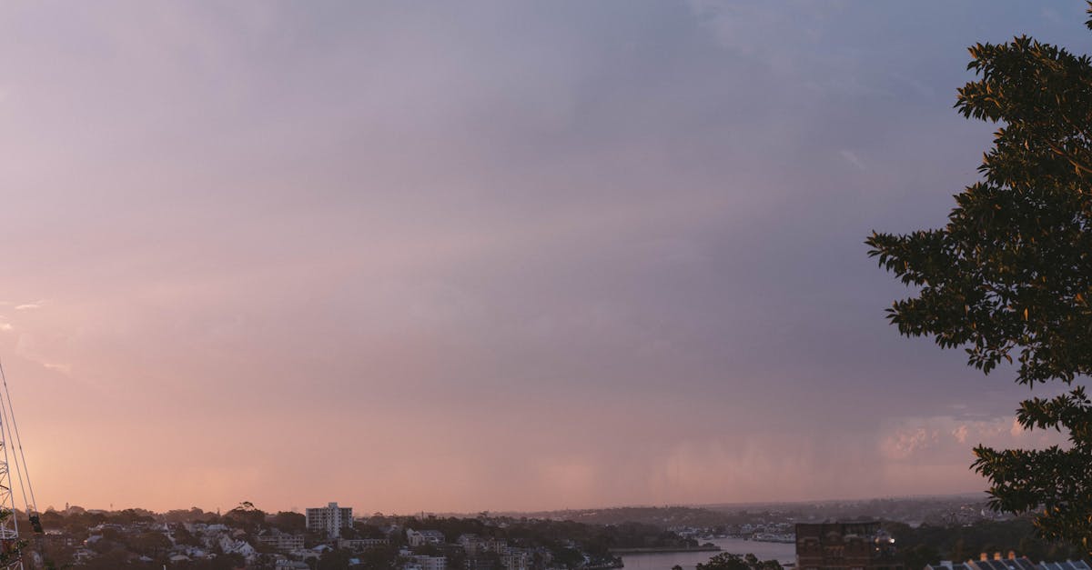 What Employers Look for in Credible Cleaning Qualifications